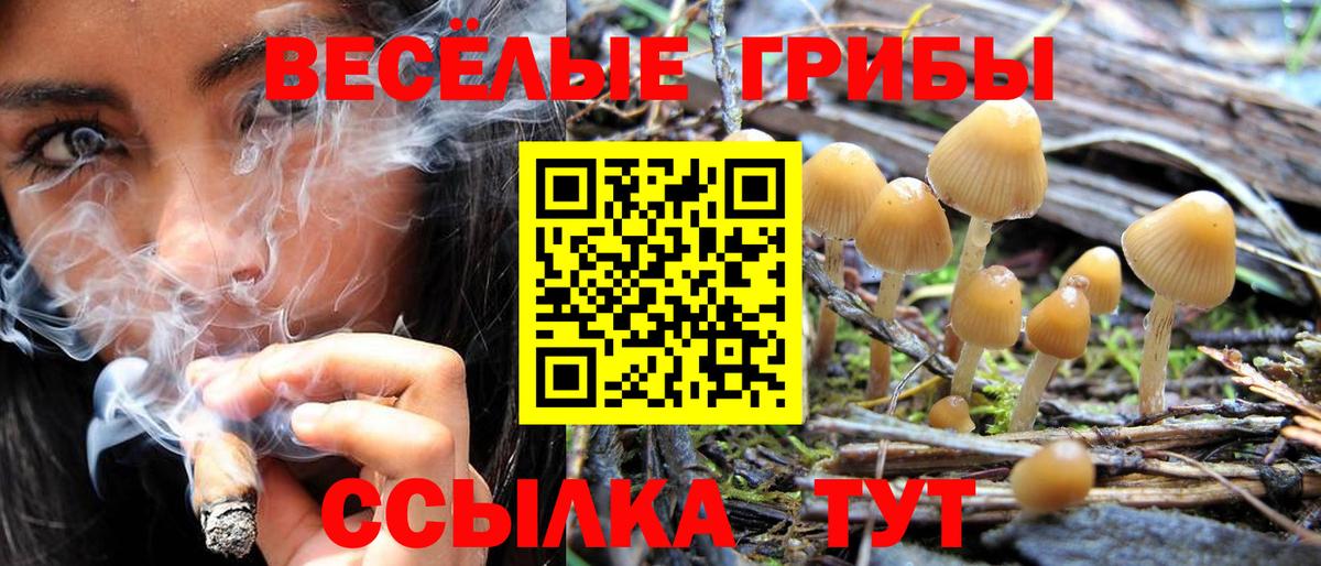 Псилоцибиновые грибы ЛСД Протвино
