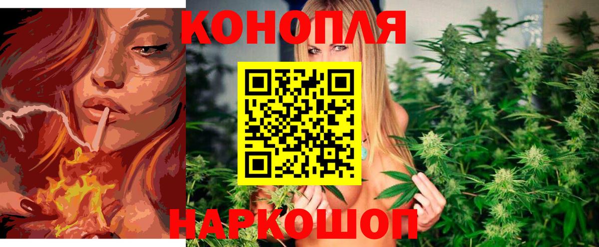 Канабис OG Kush  Вход с VPN  Протвино  Шишки марихуана планчик 